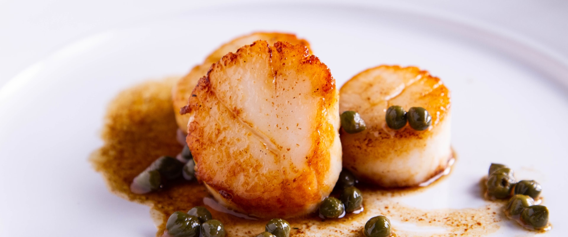 Everything You Need to Know About Scallops