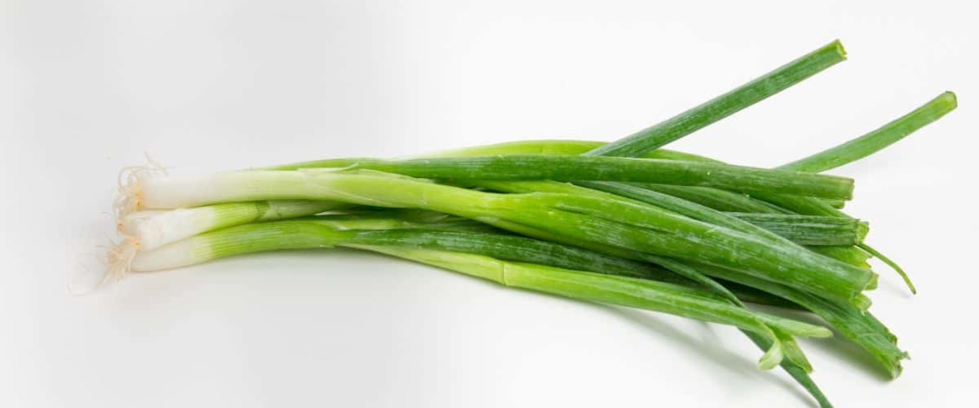 Everything You Need to Know About Scallions