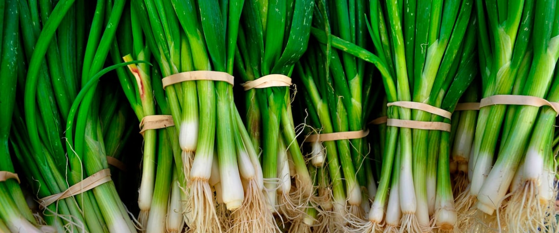Scallions: An Overview