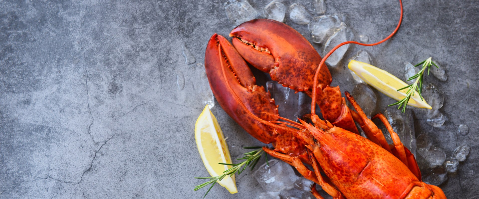 Lobster: Everything You Need to Know