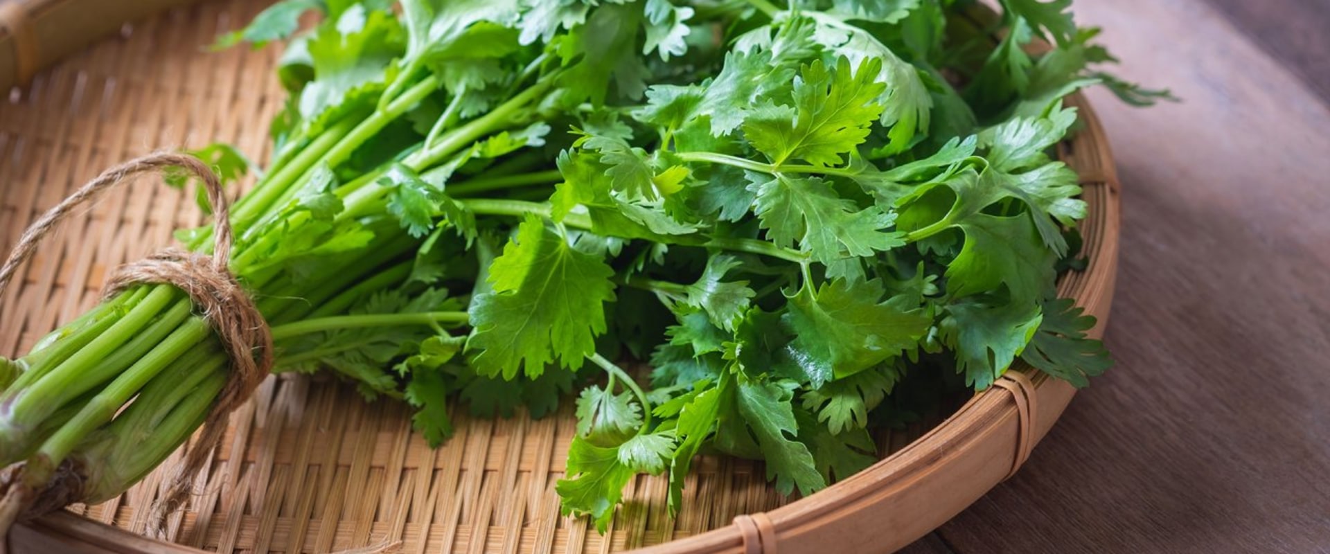 Cilantro: Everything You Need to Know