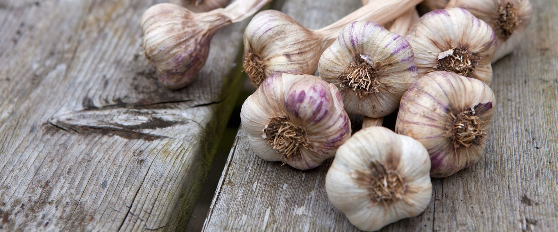 The Ultimate Guide to Garlic: Everything You Need to Know