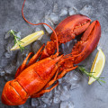 Lobster: Everything You Need to Know