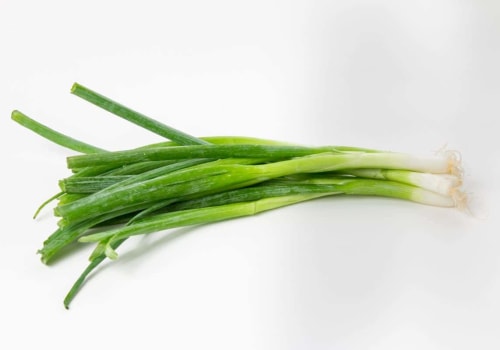 Everything You Need to Know About Scallions