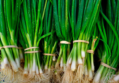 Scallions: An Overview