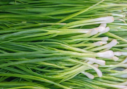 All About Scallions