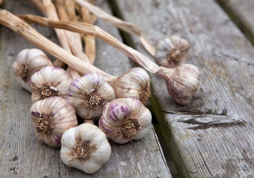 The Ultimate Guide to Garlic: Everything You Need to Know